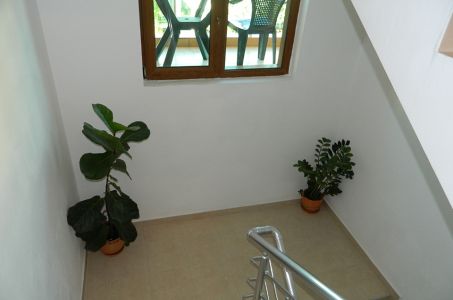 DSCN0212